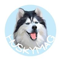 Husky Lovers Community(@huskylovers____) 's Twitter Profile Photo