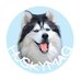 Husky Lovers Community (@huskylovers____) Twitter profile photo
