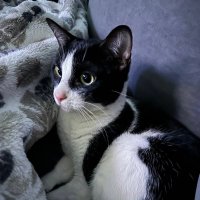 Beckstah (@beckstah13) 's Twitter Profile