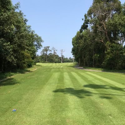 chophole's profile picture. 