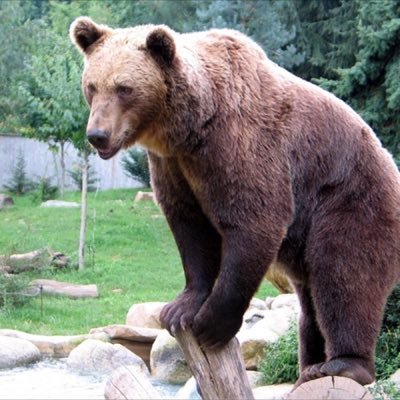 akinetor_uni's profile picture. ND75→uts2-23→統合生命B3 プリ23照明