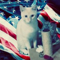 Krissy (@krissyb007) 's Twitter Profile Photo Krissy (@krissyb007) 's Twitter Profile Photo