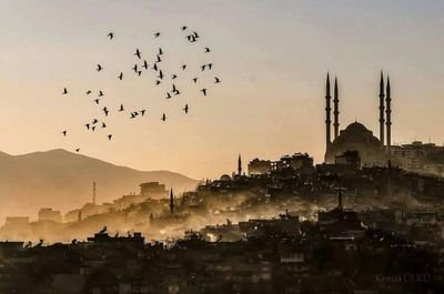 CCevherC's profile picture. 