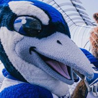 Billy the Bluejay (@billy_bluejay) 's Twitter Profile