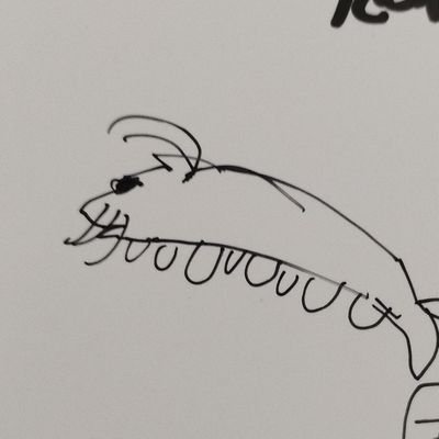 ebichan_1729's profile picture. えびの足の数は10本　QC