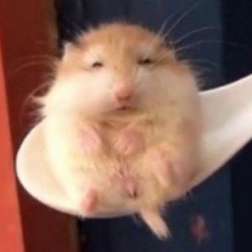 EUMTIAGOoOo's profile picture. pixiv : https://t.co/ugP4TqAj1K