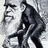 DeBoBio311's profile image