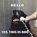 digdog03 - @IanChamberlain2 - Twitter