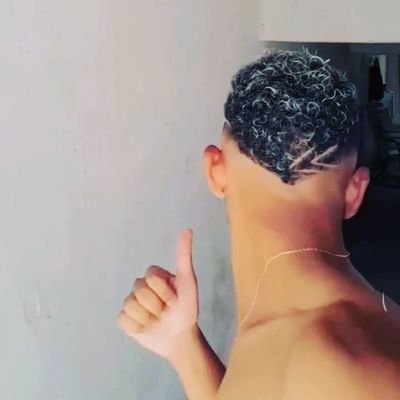 ShailnMelo1's profile picture. 