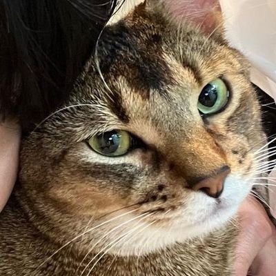 afterm_night's profile picture. 