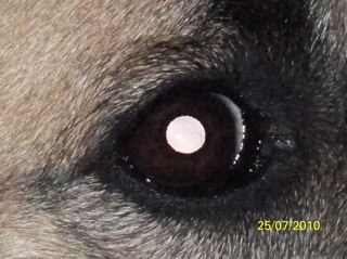 AndriuGaSa's profile picture. 