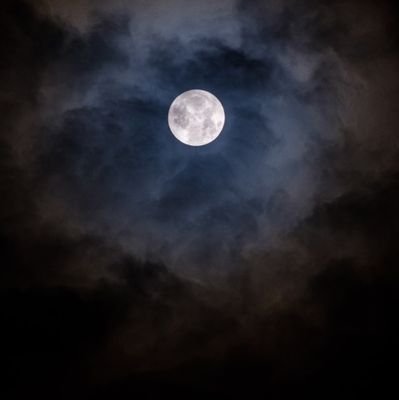 nighty_night90's profile picture. It is just nightmare💔