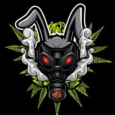 PsillyrabbitG Profile Picture