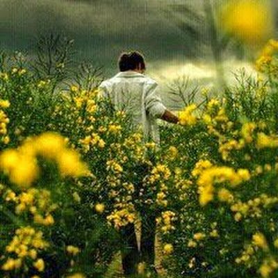 NagarajAnush's profile picture. 