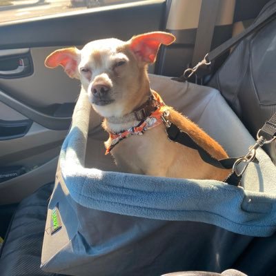 KarenAllen44's profile picture. Making a new account to join the Red Pill Army again! Usually on the Foxhole