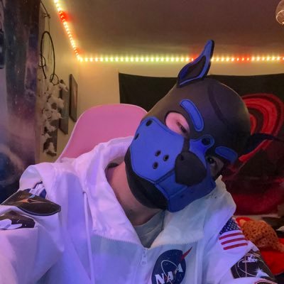 🖤💙🖤 new pup on here! .  🦴 🐾