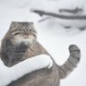 manu_numa_manu's profile picture. 発達障害/毒親/統合失調症/夫と仲良くなりたい/目標は障害者雇用での就職と働いても正気を保つ→23年新年度から障害者雇用（時給制契約社員）/２年で10キロ痩せたい（23年7月末開始→1ヶ月－1.7kg）