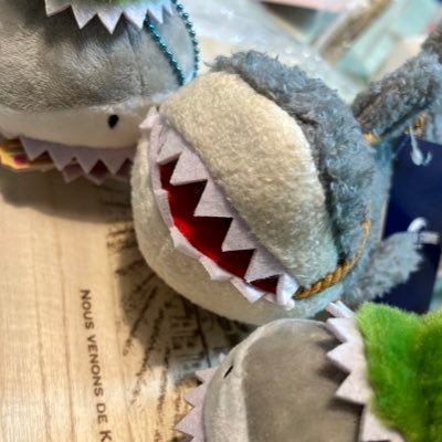 saeyunari's profile picture. CNIC 関西すみ。皮膚筋炎、間質性肺炎治療中。無言フォローごめんなさい。投資垢❌、ブロ解します。