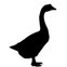 john wilson (@goslingpress) 's Twitter Profile Photo john wilson (@goslingpress) 's Twitter Profile Photo