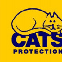 CatsProtection Gwent(@CP_Gwent) 's Twitter Profile Photo