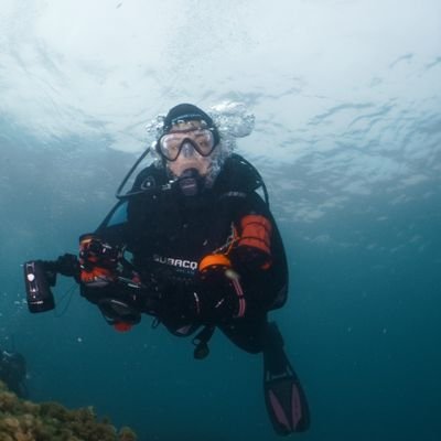 PhD student at @BiologiaUB | Resarcher in @ImedmarUCV | MSc Marine Ecology (Chile) | BSc Marine Science @UniBarcelona | Ecology & Gorgonians | Genetic 🧬🌊