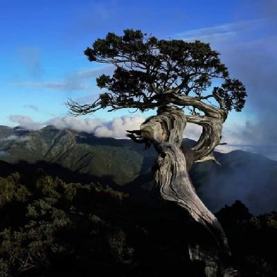 wnghuzhng1's profile picture. 