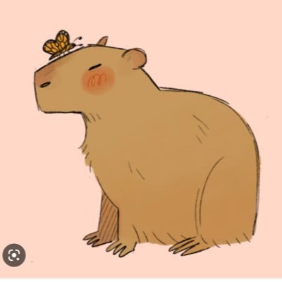 🌸22🌸 cottage/fairy core ☀️ I love capybaras 💕 pc gamer 👾 pink 💗