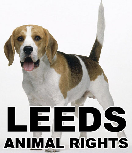Leeds Animal Rights is an organisation dedicated for campaigning for animals within our city.