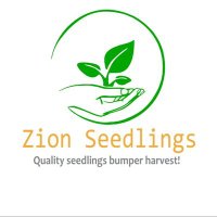 Zion seedlings(@Zionseedlings) 's Twitter Profile Photo