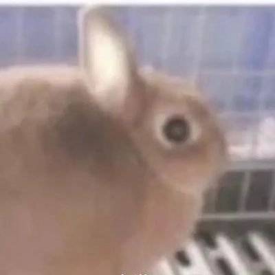 GeckoMilky's profile picture.