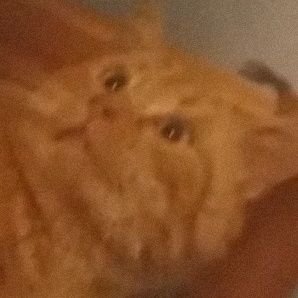 ChristopheMkk's profile picture. 