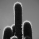 Jorge Acebo - @JorgeAcebo - Twitter