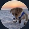 day_off_daying's profile picture. 모든 문의 및 제보는 DM !