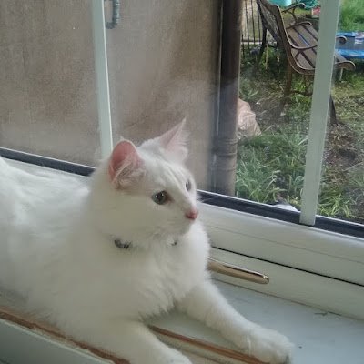 CgFffddg's profile picture. 