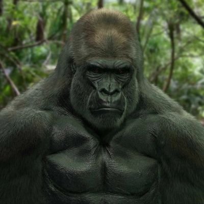 eKSxZXv6MvsCuo2's profile picture.