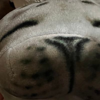 APManatee's profile picture. These are lame but hey I like video games and anime, the art that comes with it and the discussions. We good? Cool, it’s nacho time