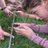 WLYouthPrograms's profile image