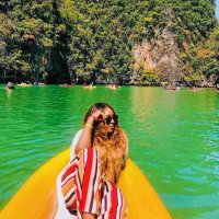 Joyce (Solo Travel & Food Culture) 🌴✈️ 🍽️(@DIYWITHJOY) 's Twitter Profile Photo