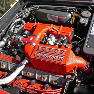 RealCorban's profile picture. I put wallpaper on the outside of my house...