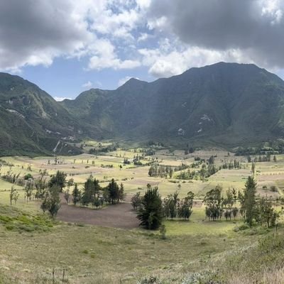 Henri_xview's profile picture. 