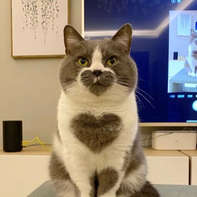 Batman190l's profile picture. 100X起飞