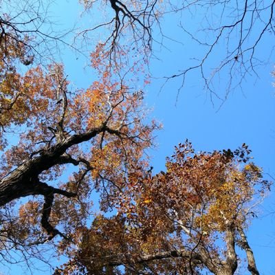 Kasai41244961's profile picture. 東海大学理学部物理学科