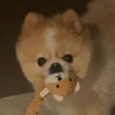 gmlgmlee's profile picture. @gmlgmlee_pic