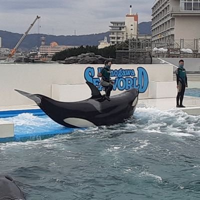 軍港めぐりが好きです
海上自衛隊や小川陸人さんを応援しています。