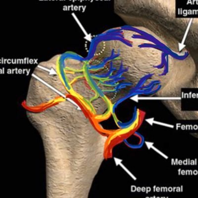 We’re all about bringing LGBTQ+ representation into orthopaedic surgery 🌈🌈🌈 IG: prideortho_dellmed