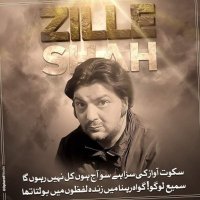 بیرونِ ملک پاکستانی (@qasimch86) 's Twitter Profile