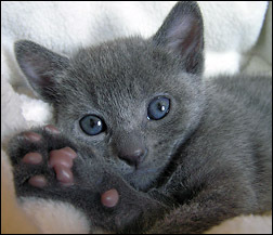 GinaSensei's profile picture. Livet är som en påse. Tomt och innehållslöst om du inte fyller det med något