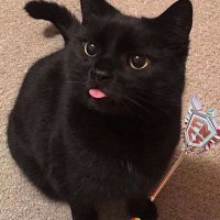 Prazims (@prazimslmao) 's Twitter Profile