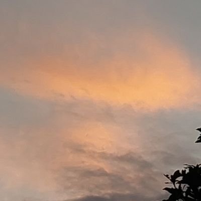 suntrandomacc's profile picture. random acc