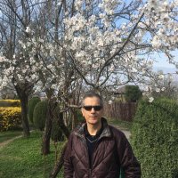 Tariq Mir (@tariqmir) 's Twitter Profile Photo Tariq Mir (@tariqmir) 's Twitter Profile Photo